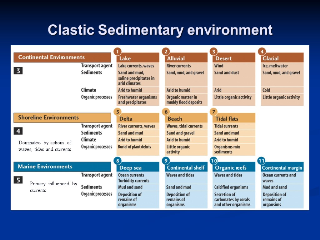 Clastic Sedimentary environment Dominated by actions of waves, tides and currents Primary influenced by